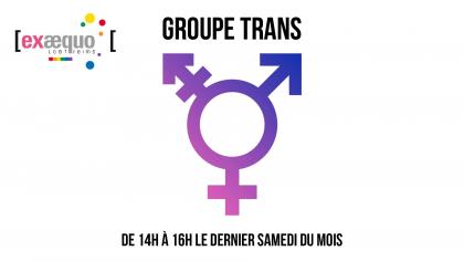 groupe_trans.jpg